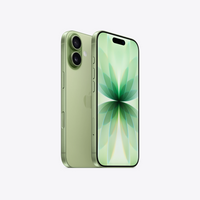 iPhone 17 Sage
