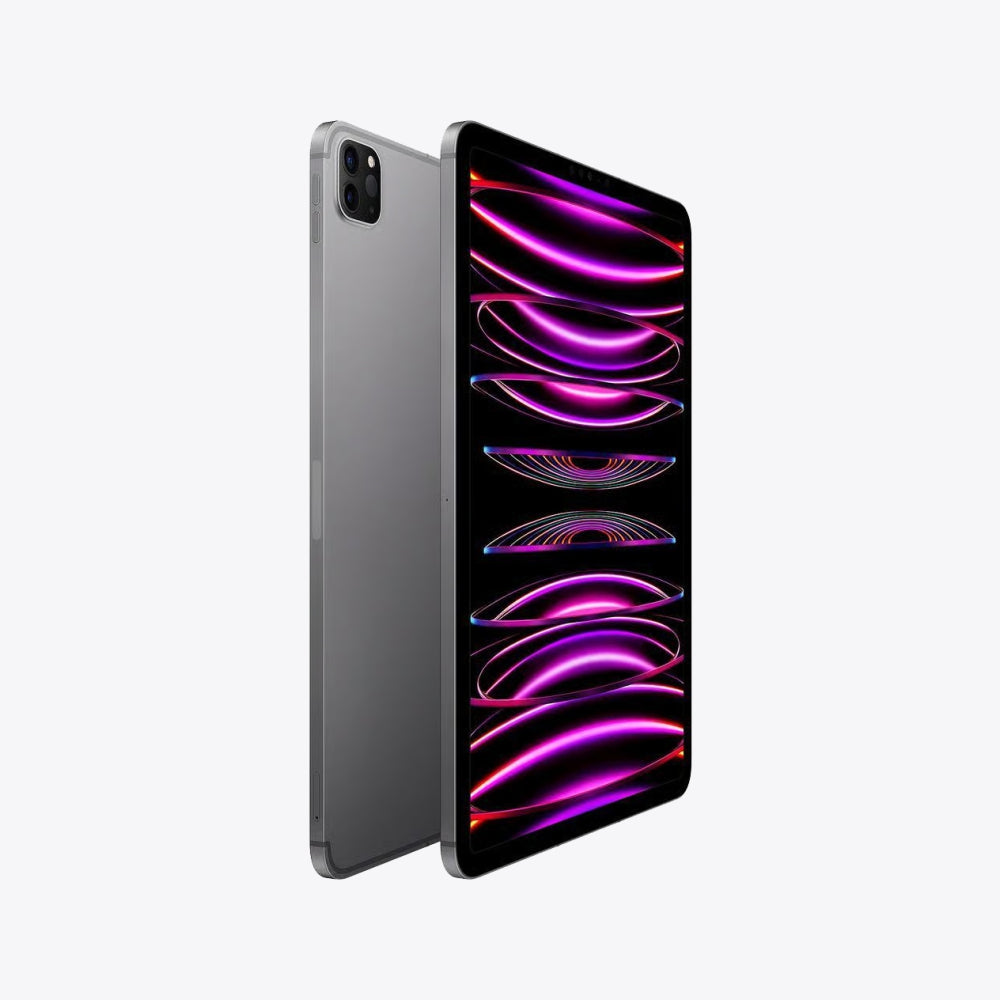 iPad Pro (2022) 11" Gray