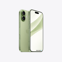 iPhone 17 Sage
