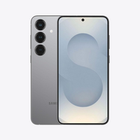 Samsung Galaxy S25 Silver