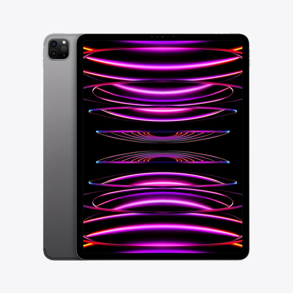 iPad Pro (2022) 11" Gray