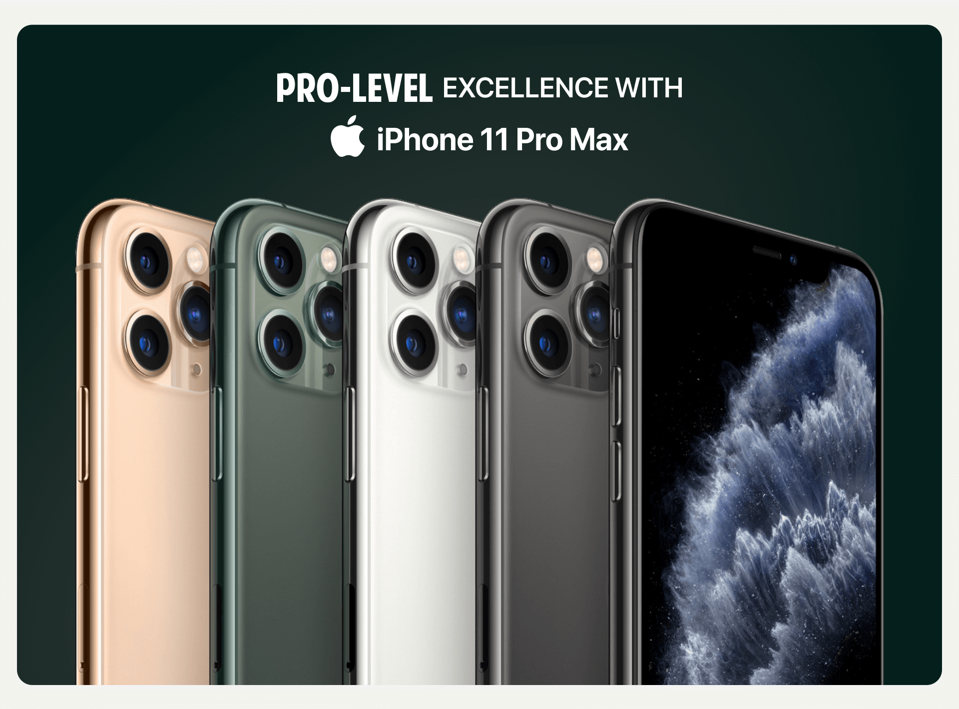11 Promax